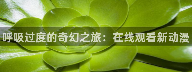 omofun动漫在哪下载：呼吸过度的奇幻之旅：在线观看新动漫