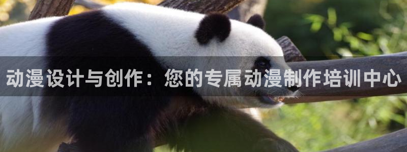 动漫共和国(omofun)：动漫设计与创作：您的专属动漫制作培训中心